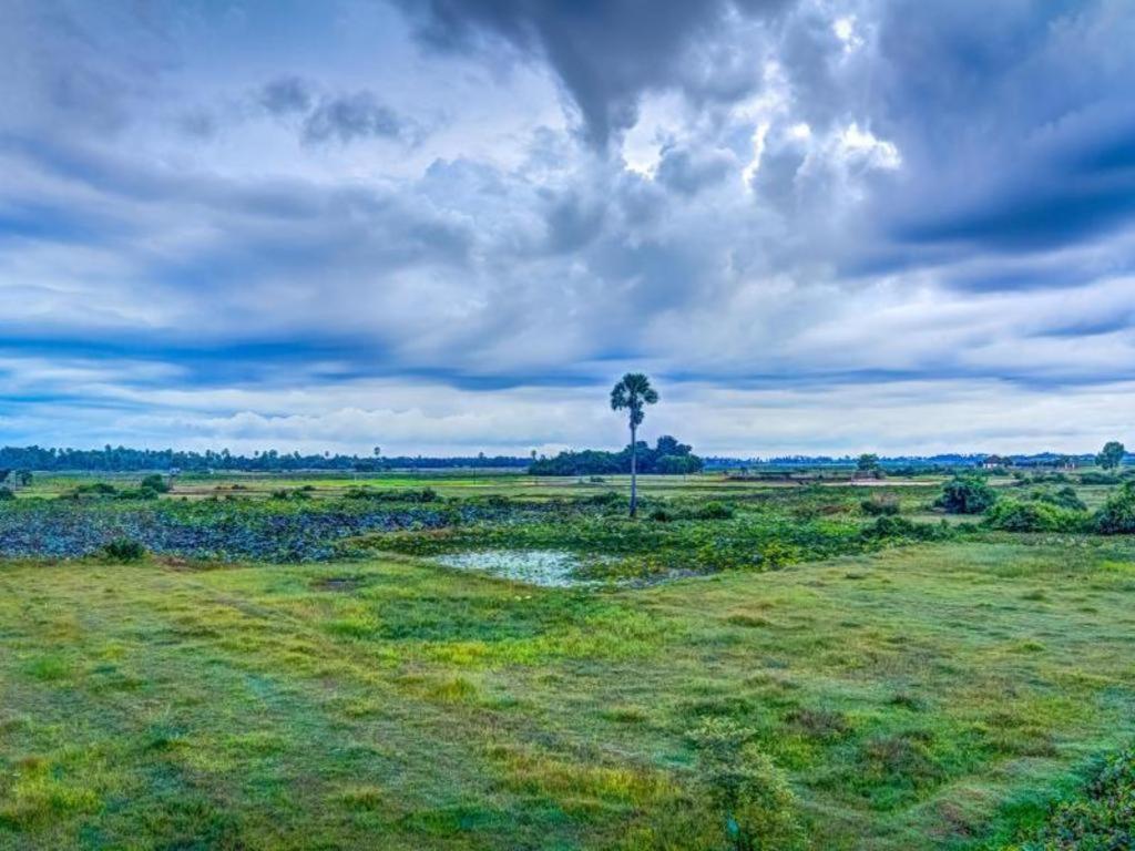 Ry'S Lotus Resort D'Angkor Siem Reap Bagian luar foto