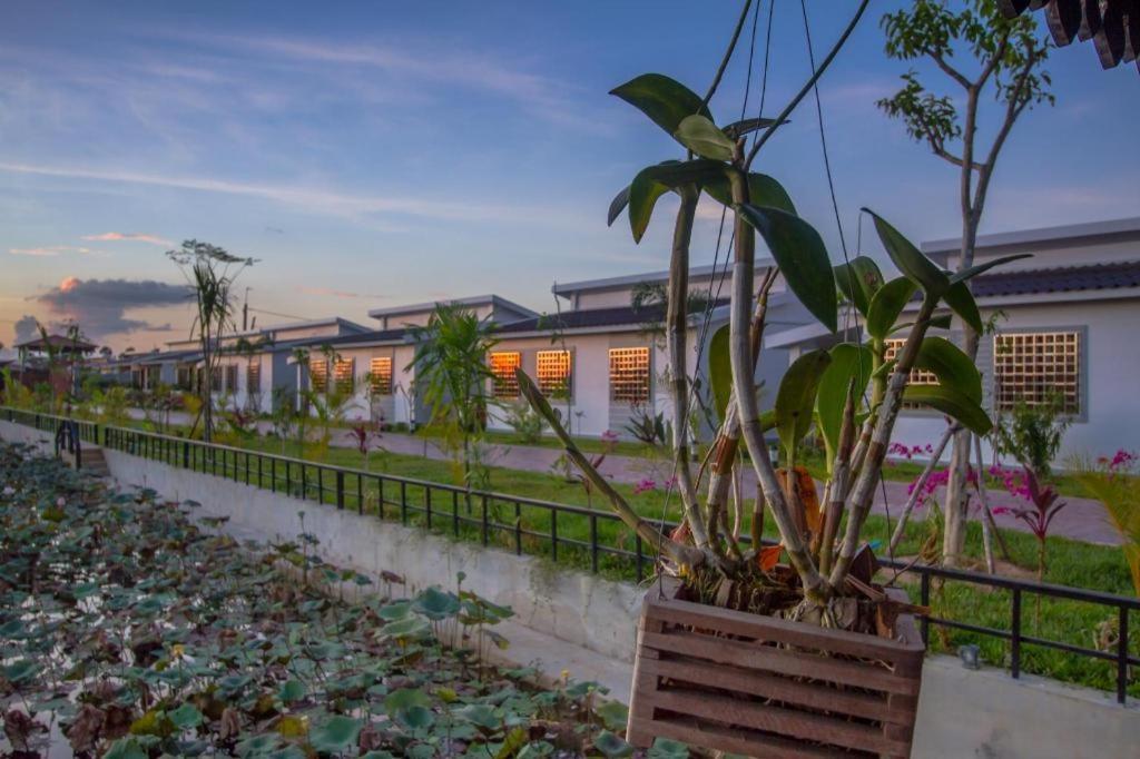 Ry'S Lotus Resort D'Angkor Siem Reap Bagian luar foto
